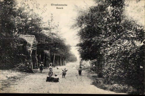Cdv foto porträt - foto,