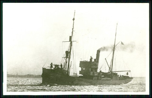 Echt foto wilhelmshaven - echt,
