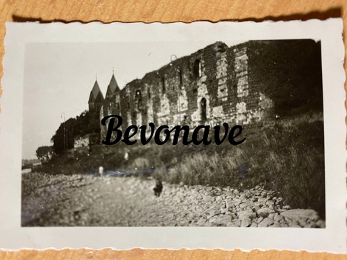 Foto burgruine kaiserpfalz - foto,