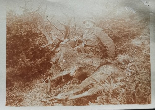 Original foto 1910 jagd jäger - original,